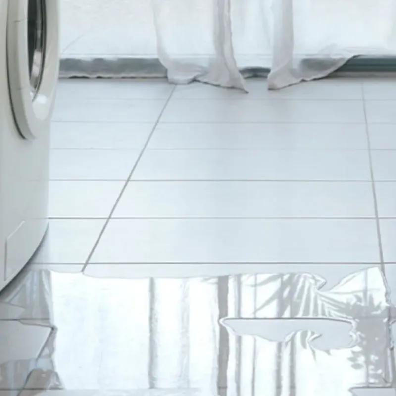 Appliance Leak Cleanup in Alderson, WV
