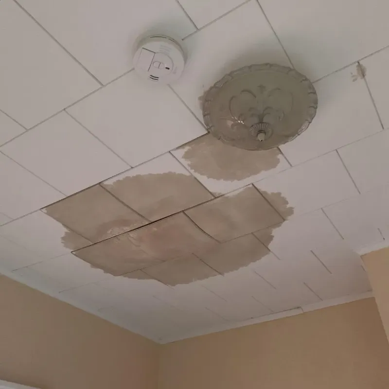 Ceiling Water Damage Repair in Alderson, WV
