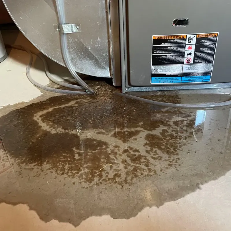Pipe Burst and Leak Restoration in Alderson, WV