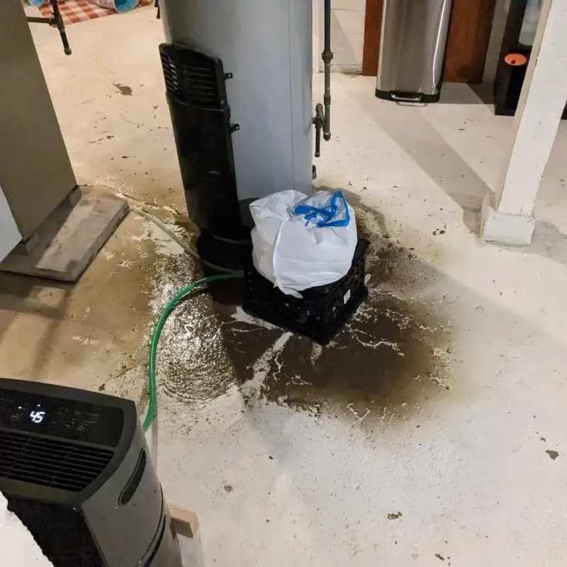 Sewage Backup Cleanup Service in Alderson, WV